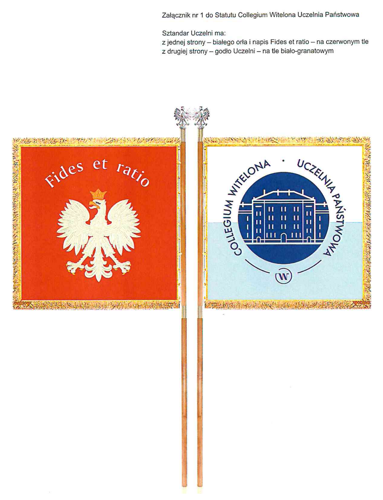 Sztandar Collegium Witelona: z jednej strony biały orzeł i napis Fides et ratio na czerwonym tle, z drugiej strony godło Uczelni na tle biało-granatowym.